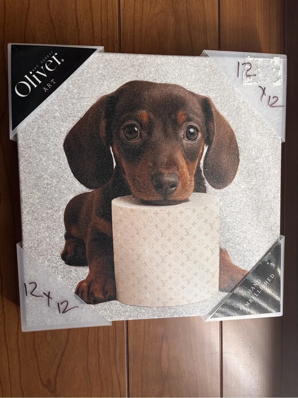 New!  Dachshund Dog Art canvas print. 12 x 12